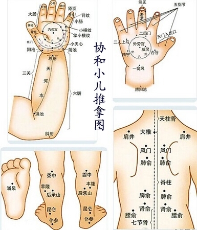 协和研究院提供—小儿推拿常用腧穴之上肢部穴位